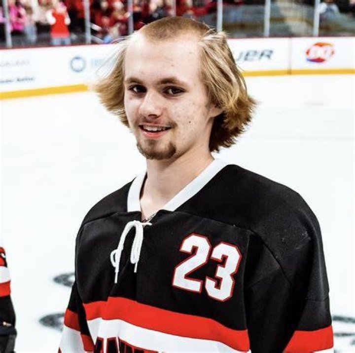 10 Best Heads of Hair in Hockey History 