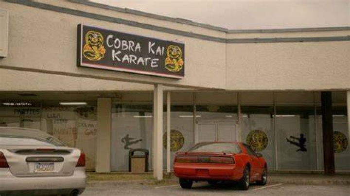 Cobra Kai House Atlanta Rental