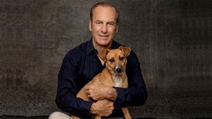 Here's How Bob Odenkirk Made It Big In The Entertainment Industry