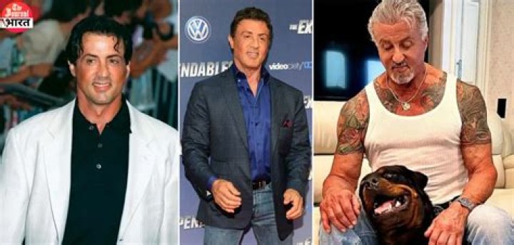 Sylvester Stallone Net Worth 2024
