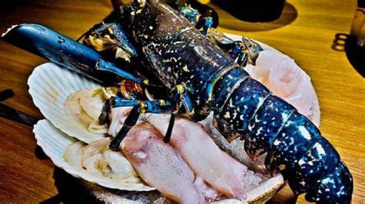 The Most Expensive Seafood In The World